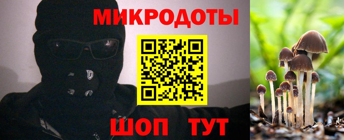 Псилоцибиновые грибы Magic Shrooms Сосновоборск