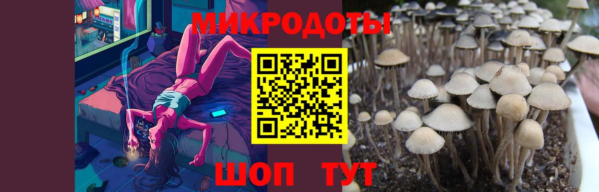 Галлюциногенные грибы Psilocybine cubensis  Галлюциногенные грибы Psilocybine cubensis  Вход с VPN  Сосновоборск 